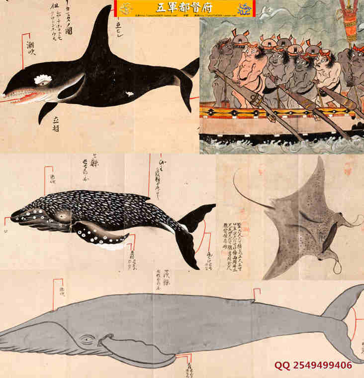  【古画】日本古代海洋鲸鱼高清长卷古画素材